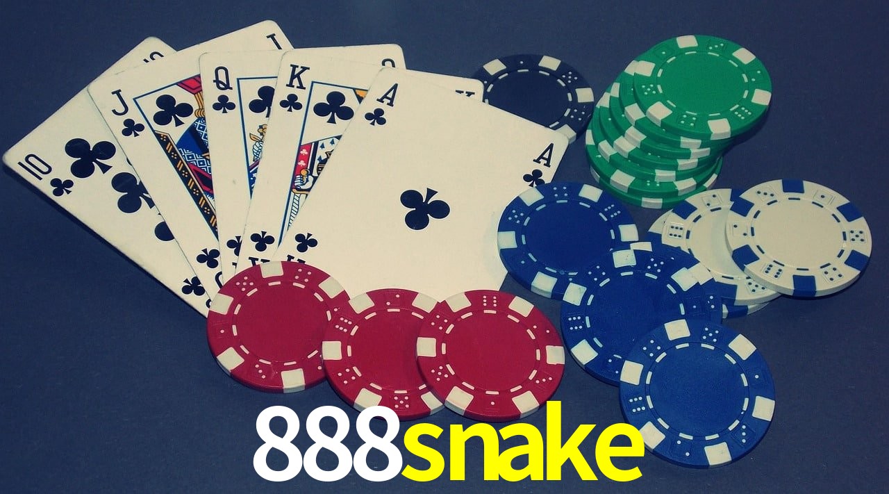 Player Reviews 888snake